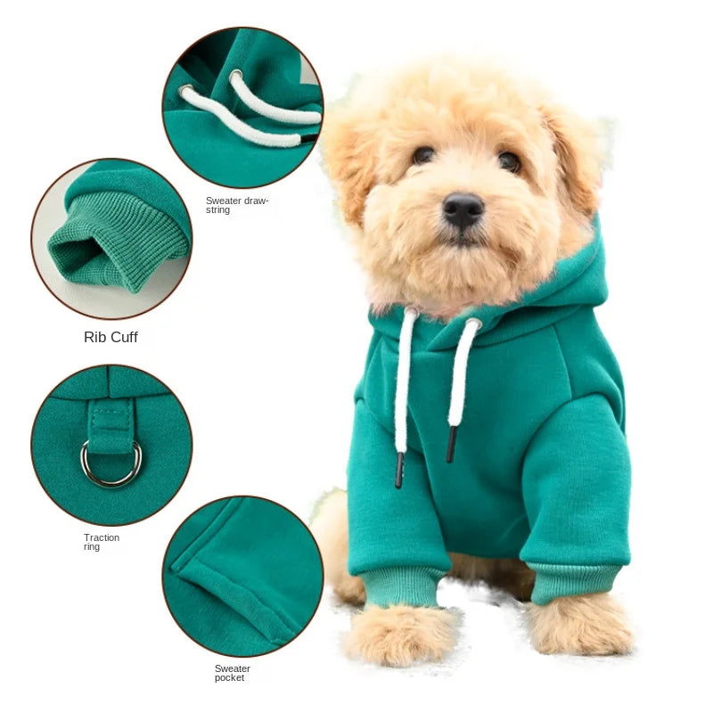 Sweatshirt para o seu animal de estimação.