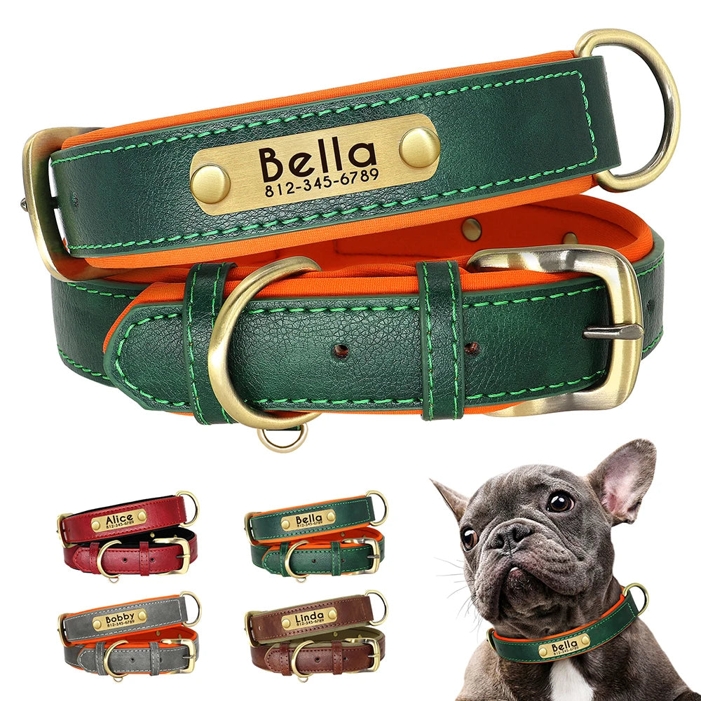 Coleira de couro personalizada para cães - macia, acolchoada e gravada personalizada para todos os tamanhos.