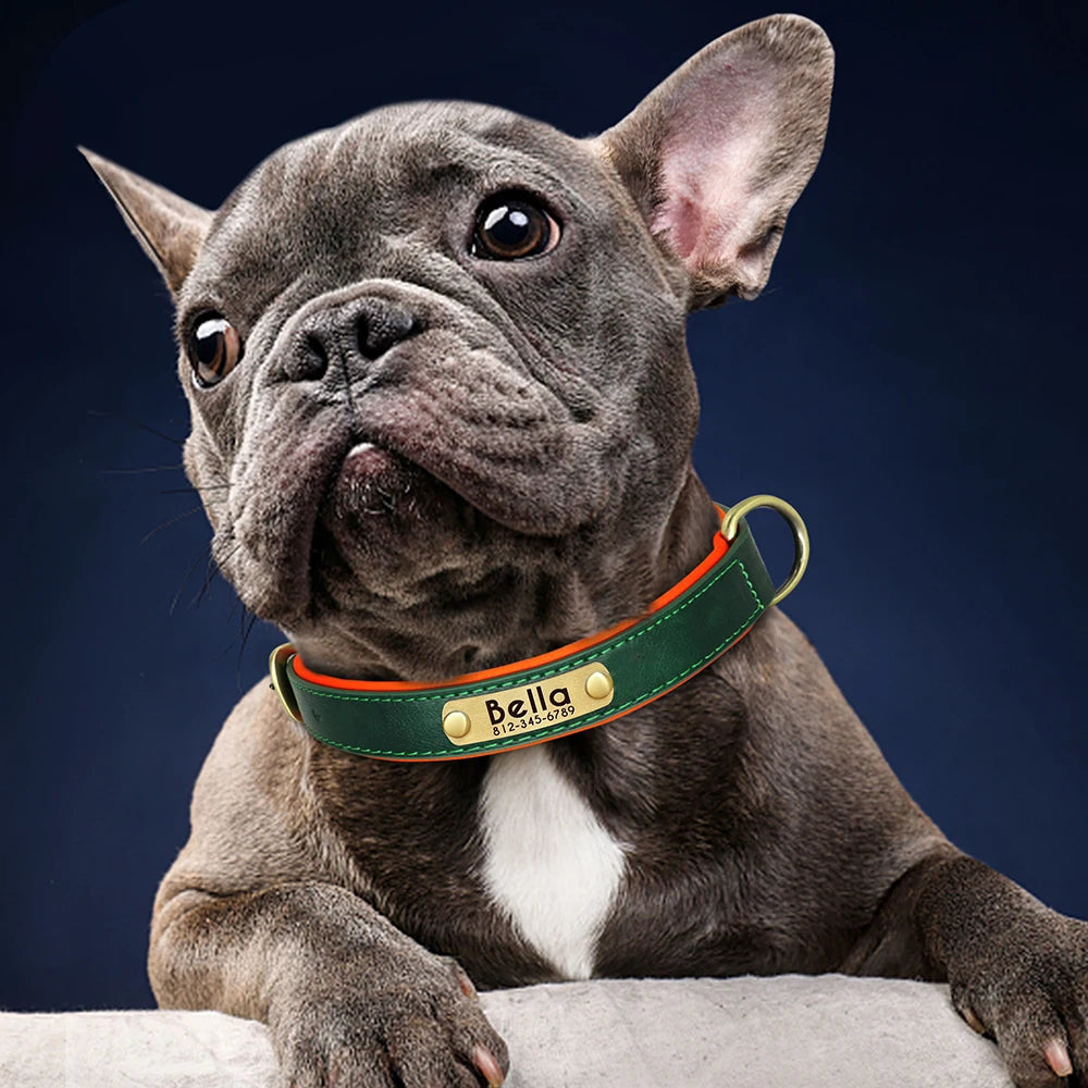 Coleira de couro personalizada para cães - macia, acolchoada e gravada personalizada para todos os tamanhos.
