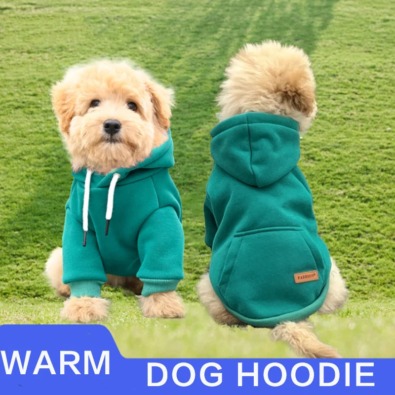 Sweatshirt para o seu animal de estimação.
